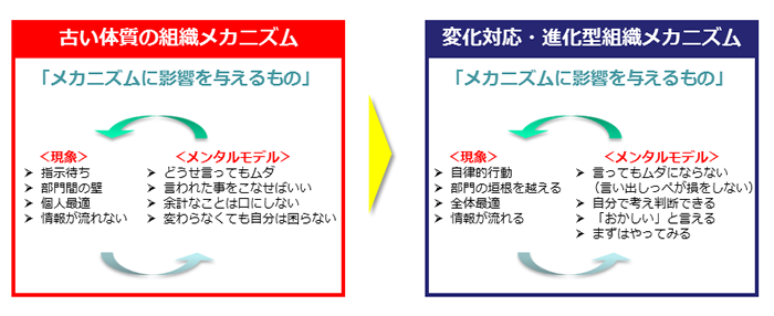 図3-1　メンタルモデルが組織メカニズムに与える影響