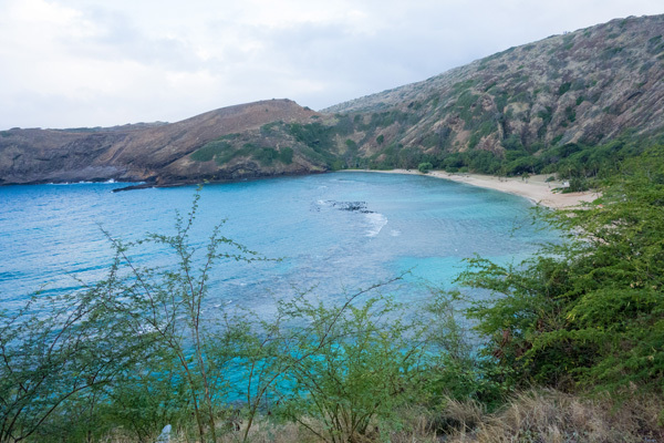 ハナウマ湾全景。ひと頃より落ちたとはいえ、相変わらず上から見下ろすと圧巻の美しさ。